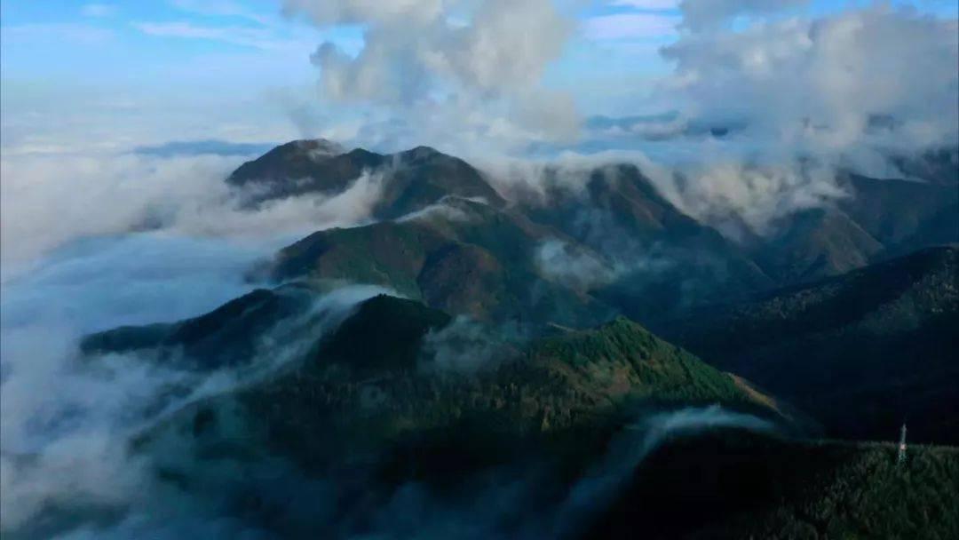 凰家看台|房地产的废墟里,八冠王在自救
