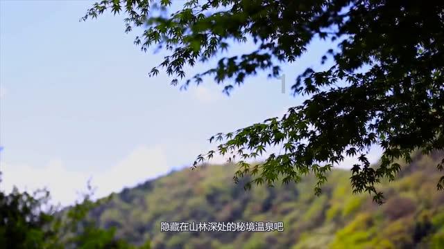 文明6