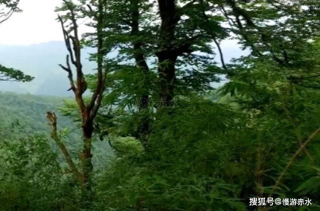 牢牢守好发展和生态两条底线 奋力开创绿色铜仁现代化建设新局面