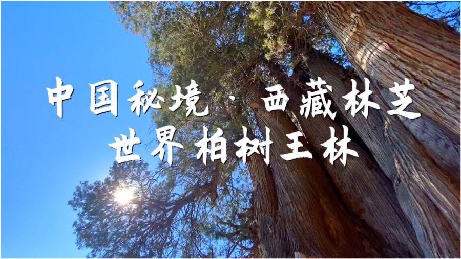 我老婆每天都要加班到晚上10点,这个应该怎么办- 专业问答平台