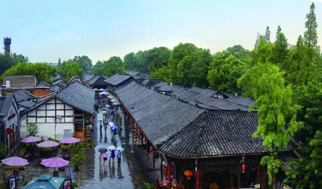 一站式问答平台—被家暴时,妻子应该怎么阻止家暴行为?,专业解答您的疑问