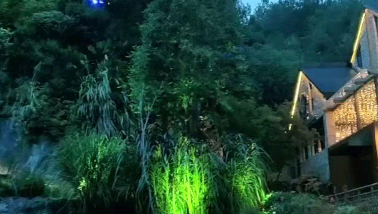 民国富商生性吝啬，算账只用老算盘，却给儿子买豪车、包机运狼狗